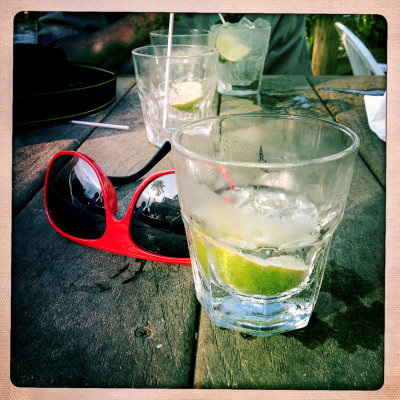 Gin and Tonic