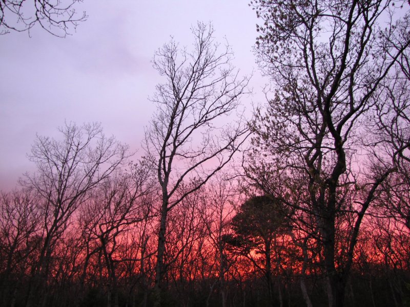 Sundown.jpg