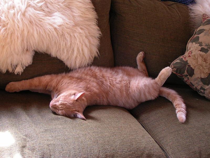Stretchhhh.jpg