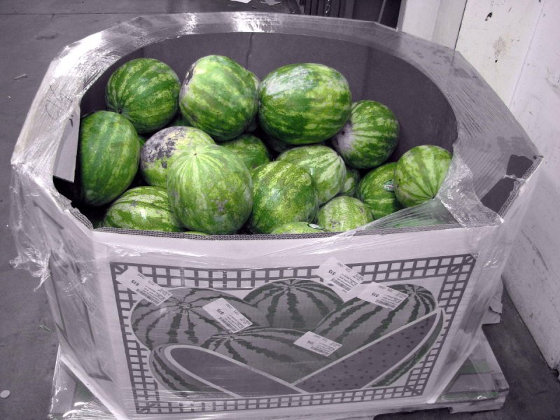 Watermelon Bin.jpg