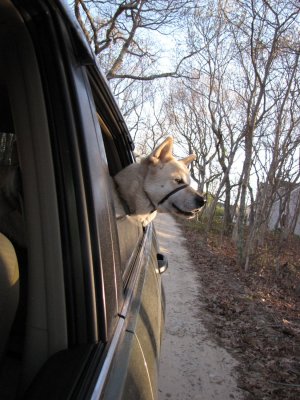 Goin For a Ride.jpg