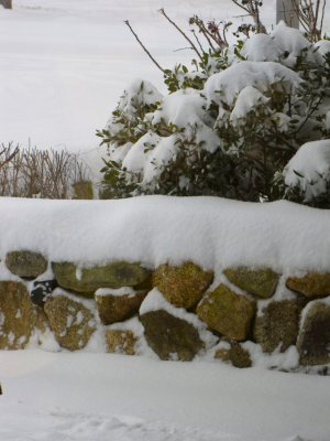 Snow Rocks.jpg