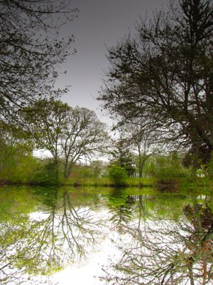 Reflection- Water on Top.jpg