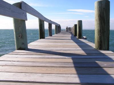 Walk the Dock.jpg