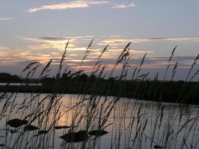 Just another sunset.jpg
