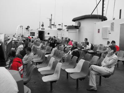 Ferry Reds.jpg