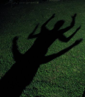 ShadowPlay.jpg