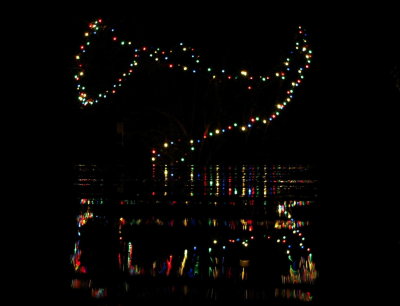 Christmas Reflections.JPG