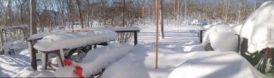 Just a Little Snow.jpg