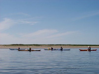 P6110023.jpg