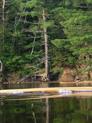 Paddling in the Shediac River, NB