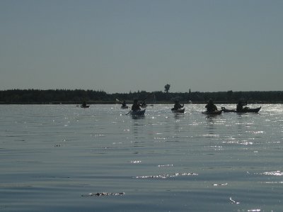 Shediac Island paddle