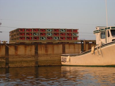 Getting ready for Lobster Season