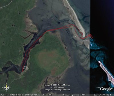 Kouchibouguac Grey Seal Adventure