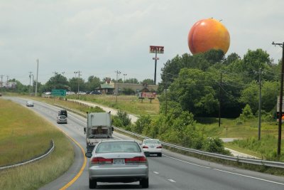 Georgia's pride...its peaches!