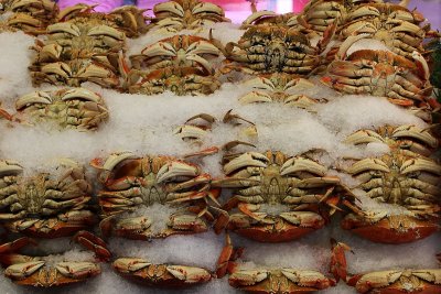 Dungeness Crabs