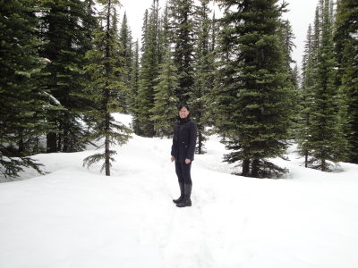 Banff2011May160.JPG
