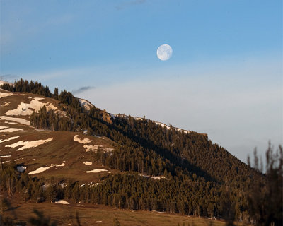 Moon Above the Hills.jpg