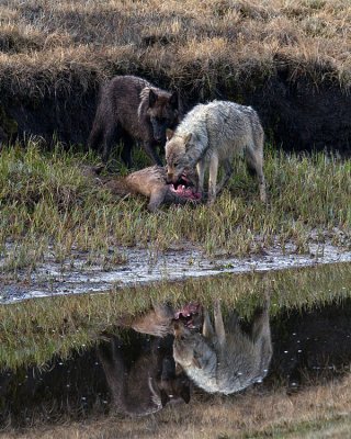 Mealtime Reflection.jpg