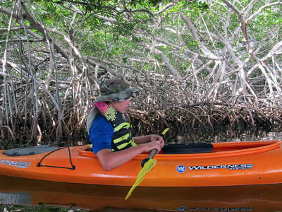Danny Kayaking in the Mangroves.jpg