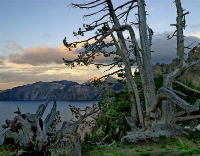 Crater Lake Mountains at Sunset with dead tree.jpg
