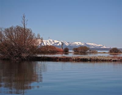 Mountains over Lake Yellowstone at Sunrise.jpg