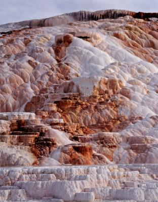 Mammoth Hot Springs Cleopatra Terrace.jpg