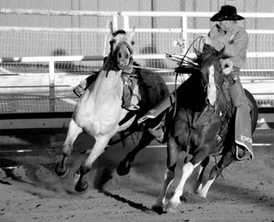 Rodeo Cowboy corralling bronco black and white.jpg