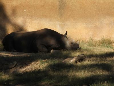 Caldwell Zoo