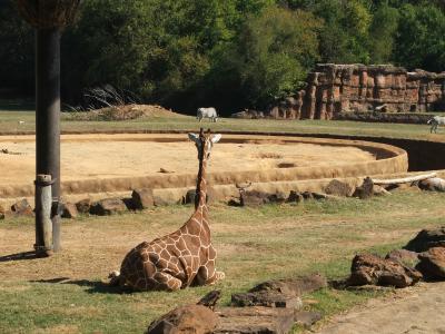 Caldwell Zoo