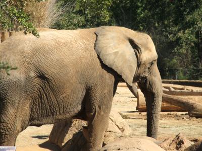 Caldwell Zoo