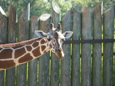 Caldwell Zoo