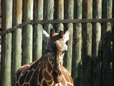 Caldwell Zoo