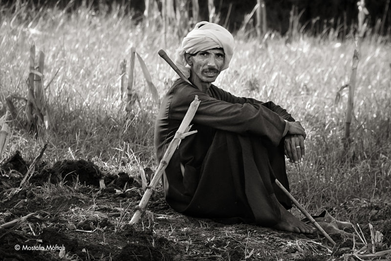 Shepherd