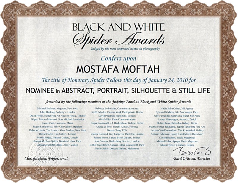Black & White Spider Awards Certificate of Achievement  - 2010