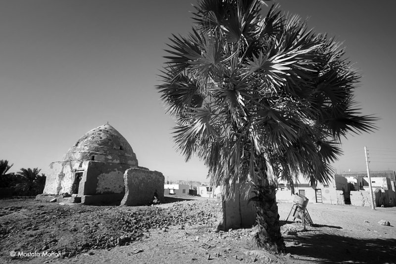 At Al-Qasr - Dakhla Oasis