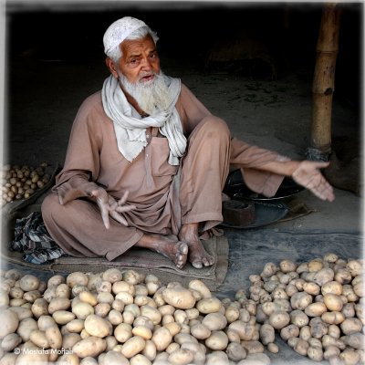 Potato Vendor - India