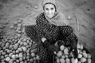Potato Lady - Potato sorting site, North of Egypt.
