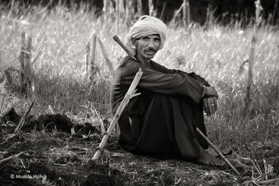 Shepherd
