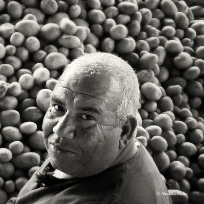 Farmer from Kafr Elzaiyat (Egypt) - Take me a Picture Series