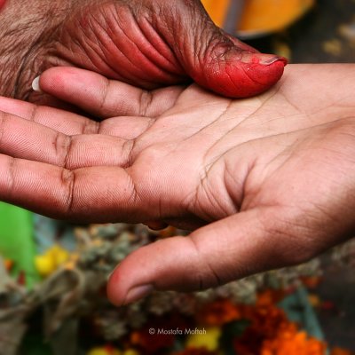 Palm Reading | Nepal