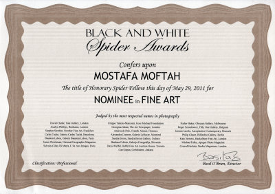 Black  & White Spider Awards Certificate of Achievement - 2011