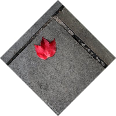 Red Leaf #1 - Diamond Shape Series