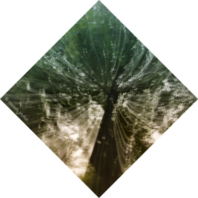Tree #2 - Diamond Shape Series