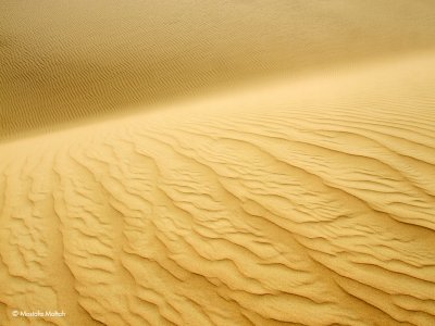 Sand Dune #4