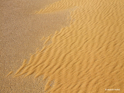 Sand Waves #3