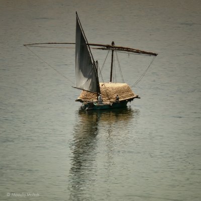 Transporting Hay (Cargo Boat)