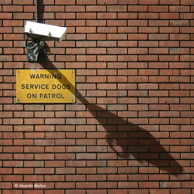 On Patrol - London