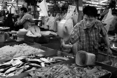 Fish Market | Geylang Serai, Singapore