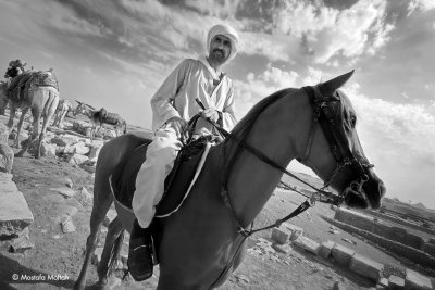 Horseman - Saqqara, Egypt
